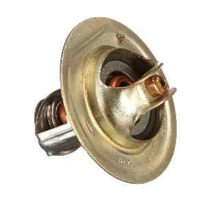 289205A1 - термостат